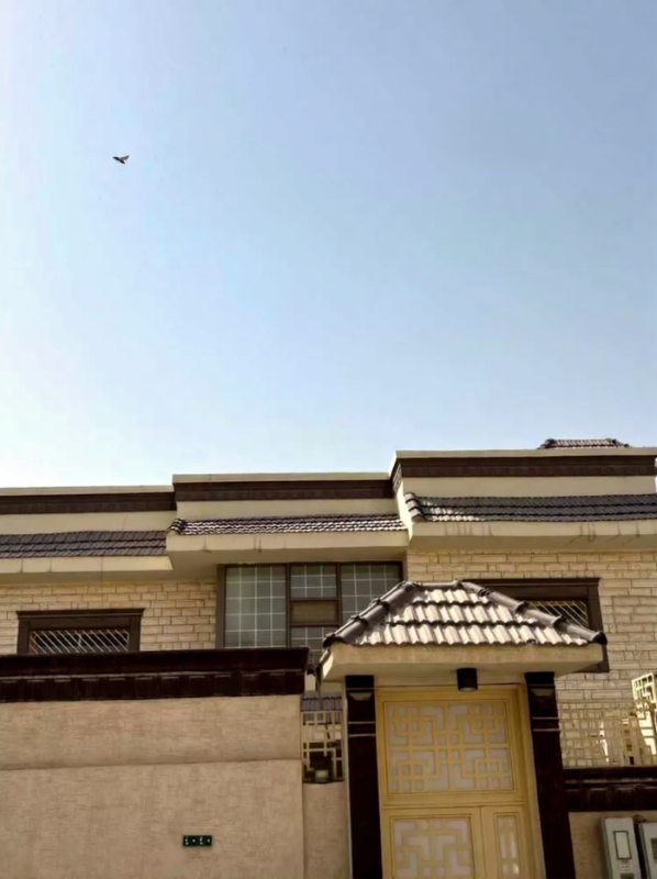 5BR Villa for Sale — Ibn Abdulrazzaq St, Al Olaya, Riyadh thumbnail 5